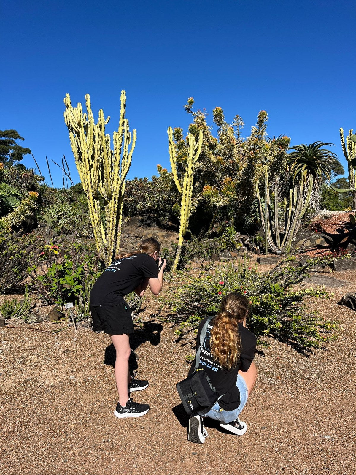 Guests enjoying Photography Club: Wendy Whiteley's Secret Garden with Travel Buddy Adventures