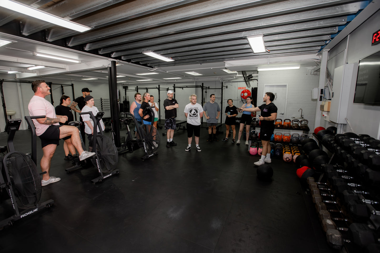 Guests training together at a Travel Buddy Adventures Gym Buddies session
