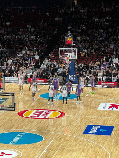 Guests enjoying Sydney Kings vs New Zealand Breakers with Travel Buddy Adventures