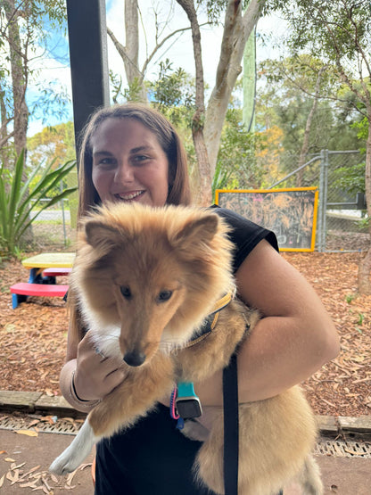 Guests at the Sutherland Shire Dogs Day Out with Travel Buddy Adventures